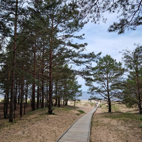  Apskaties kas ir Kalngale