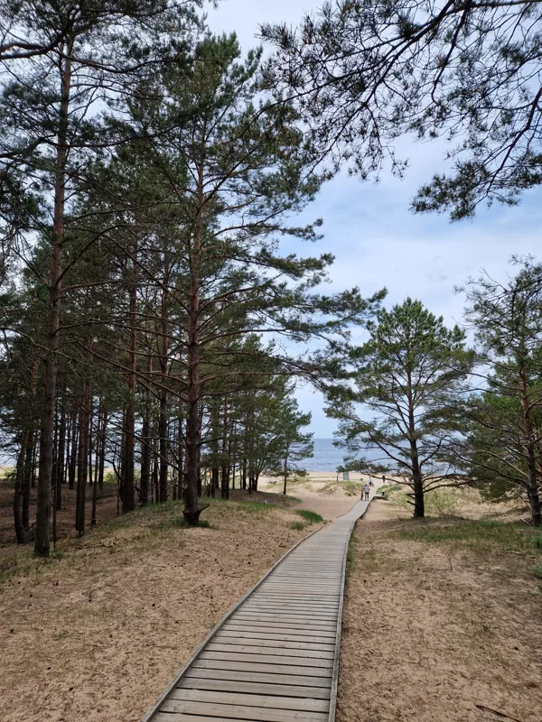  Apskaties kas ir Kalngale